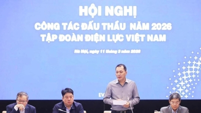 ویتنام الیکٹرسٹی گروپ (EVN): بولی کے انتظام میں شفافیت اور کارکردگی۔