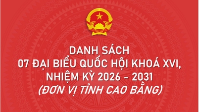 [រូបភាពក្រាហ្វិក] បញ្ជីឈ្មោះតំណាងរាស្ត្ររដ្ឋសភាចំនួន ៧ រូប នៃអាណត្តិទី ១៦ ឆ្នាំ ២០២៦-២០៣១ តំណាងឲ្យខេត្តកៅបាង។