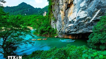 Phong Nha-Ke Bang: Truong Son sıradağlarında keşfedilmemiş bir biyolojik hazine.