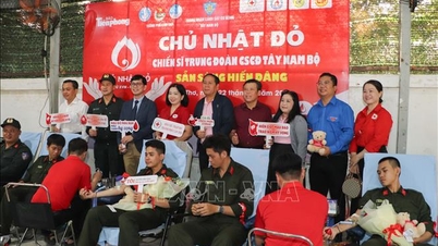 Promover o movimento de doação voluntária de sangue entre as forças armadas e o público em geral.