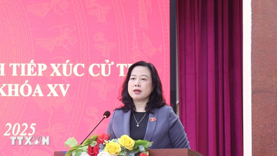 The health sector has 14 people elected as representatives to the 16th National Assembly.