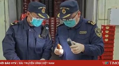 China înăsprește cerințele de înregistrare pentru alimentele importate.