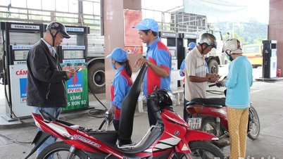 Acelerar la hoja de ruta para el uso de gasolina E10 con el fin de reforzar la seguridad energética.