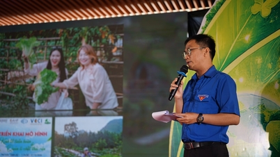 Hai Van Ward organise le concours « Initiatives vertes – Actions pour l’avenir ».