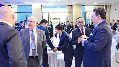 Banks and businesses are flocking to international financial centers: Increasing the ability to attract capital.
