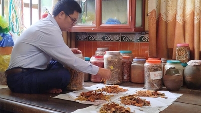 Keeping the flame of traditional medicine alive in Trinh Xuyen.