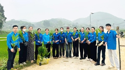 Tuổi trẻ Tuyên Quang đồng loạt ra quân "Ngày Chủ nhật xanh"