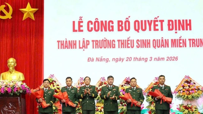 Trường Thiếu sinh quân miền Trung có quy mô như thế nào?