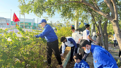 Ninh Chử-distriktets ungdomsförbund lanserar kampanjen "Gröna söndag".