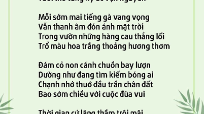 Chốn bình yên