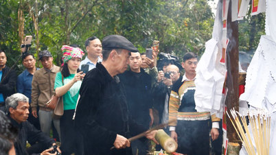 Tết rừng của người Mông giữa đại ngàn