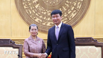 カンボジアの高官代表団がニンビン州を訪問し、活動を行った。