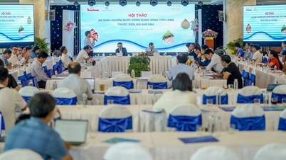 Workshop «Vannsikkerhet i Mekongdeltaet i møte med klimautfordringene»