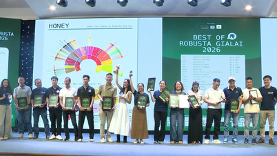 “Best of Robusta Gia Lai 2026” – ett evenemang som firar kvaliteten på Robusta-kaffe från Gia Lai.