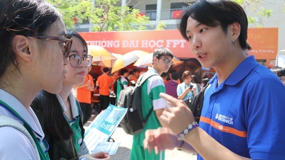 Mahasiswa internasional mengungkapkan wawasan mengejutkan tentang pendidikan di Vietnam.