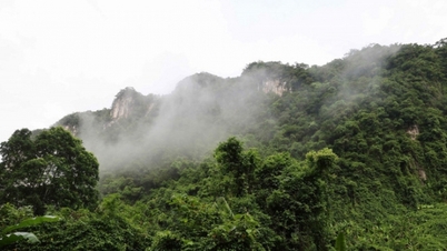 Phong Nha-Ke Bang: Un "tesoro biológico" que continúa siendo descubierto.