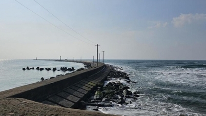 A Embaixada do Vietnã no Japão prontamente ofereceu proteção aos seus cidadãos em um acidente causado por ondas gigantes.