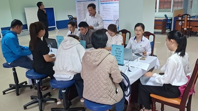 Da Nang recrutează peste 4.000 de lucrători pentru a lucra în Coreea de Sud în cadrul programului EPS.
