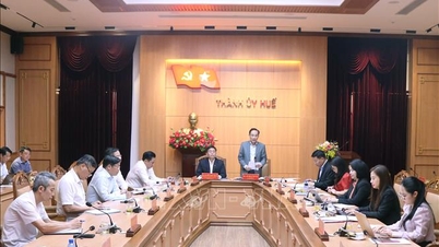 ການອະນຸມັດຮ່າງບົດລາຍງານກ່ຽວກັບຜົນຂອງການຊີ້ນຳຂອງຄະນະປະຈຳຄະນະກຳມະການພັກແຂວງ Gia Lai.