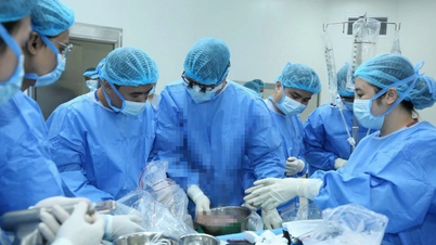 अंग प्रत्यारोपण में कई अस्पतालों के समन्वय से रातोंरात कई मरीजों की जान बच गई।