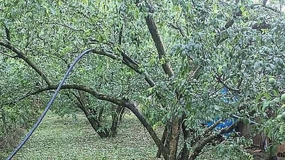 সন লা ও ফু থোতে শিলাবৃষ্টি।