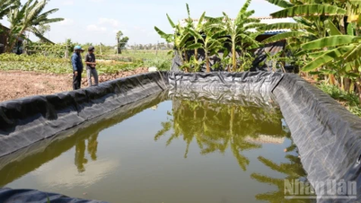 Komunitas-komunitas pulau pesisir di provinsi Dong Thap secara proaktif menanggapi kekeringan dan salinitas.