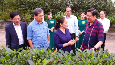 Una delegación de la Comisión Central de Asuntos Internos visita y trabaja en Thai Nguyen.