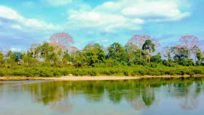 Weather forecast for Nghe An on March 23rd: Sunny during the day, with showers in the afternoon and evening.