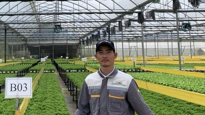 저탄소 농업 장려