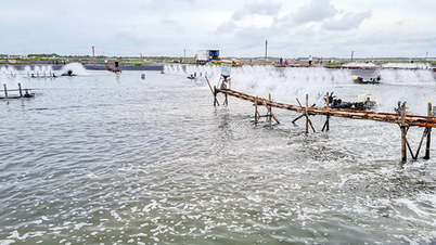 Veilige en duurzame ontwikkelingsoplossingen voor de aquacultuur.