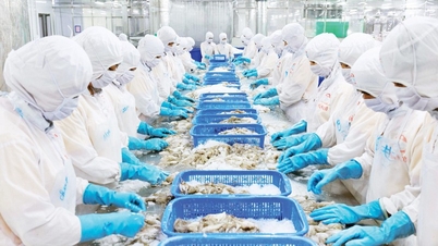 Manter o ritmo de crescimento das exportações.