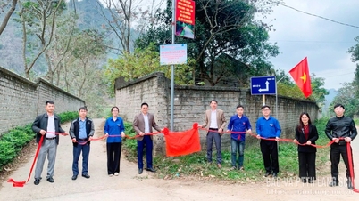 Les jeunes de Chi Lang sont en train de construire une nouvelle zone rurale.