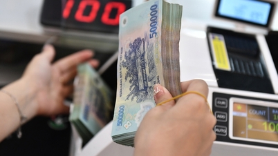 Een aantal banken bereidt zich voor op aandeelhoudersvergaderingen, waarbij sommige hun eerste vergadering in de provincie Phu Tho houden.