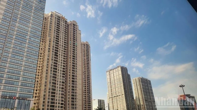 Resolution on piloting the development of affordable commercial housing