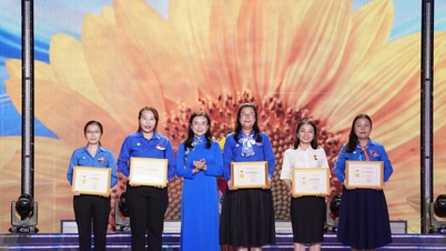 ទីក្រុងហូជីមិញផ្តល់កិត្តិយសដល់គំរូ និងគំនិតផ្តួចផ្តើមឆ្នើមចំនួន ៩ នៅក្នុងពានរង្វាន់ Ho Hao Hon ឆ្នាំ ២០២៦។