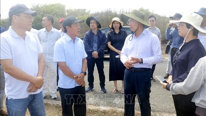 Assurer la liaison des produits touristiques entre le continent et la zone économique spéciale de Phu Quy.