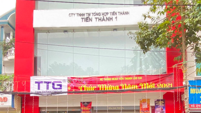 Annonce : Transfert du concessionnaire agréé Honda (vente et entretien) - HEAD Tien Thanh - Lao Cai n° 1