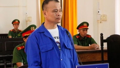 Trả giá vì đánh bắt trái phép
