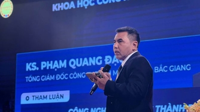 Egy vietnami mérnök technológiája hulladékot alakít át elektromos árammá és semlegesíti a dioxint.
