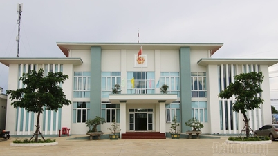 পার্টি কমিটি, ভিয়েতনাম ফাদারল্যান্ড ফ্রন্ট এবং কমিউন, ওয়ার্ড ও বিশেষ অঞ্চল পর্যায়ের রাজনৈতিক-সামাজিক সংগঠনসমূহে নেতৃত্বের পদের জন্য ভাতা সংক্রান্ত প্রবিধানমালা।