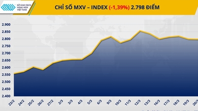 O mercado de commodities apresentou alta volatilidade, com o índice MXV caindo quase 1,4%.