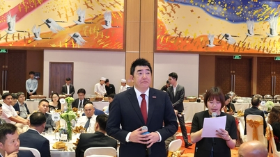 Atrair investidores para o centro financeiro internacional de Da Nang.