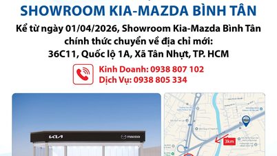 📢 THÔNG BÁO CHUYỂN ĐỊA ĐIỂM SHOWROOM KIA – MAZDA BÌNH TÂN