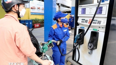 Sincronizando soluções para garantir a segurança energética diante das flutuações globais.