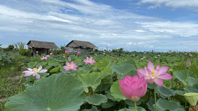 Una joven del delta del Mekong dirige un complejo turístico rural que atrae entre 200 y 300 visitantes al mes.