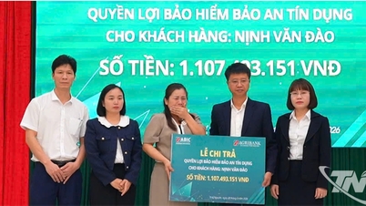 'Jaminan kredit' - jaring pengaman bagi peminjam.