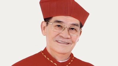 Kardinaal Johannes Baptist Pham Minh Man heeft deelgenomen aan twee pauselijke conclaven.