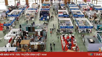 Понад 2500 експонентів взяли участь у Міжнародній виставці VIETBUILD Hanoi 2026.
