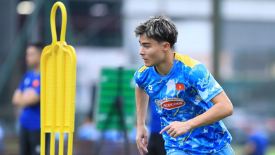 ベトナムU23代表チームが西安に到着。ディン・ホン・ビン監督は、クロアチア系ベトナム人選手を代表から外したことについて何と言ったのか？