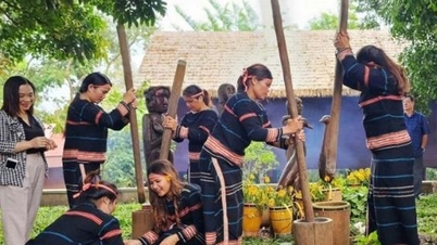 La provincia de Lam Dong está desarrollando un turismo comunitario en una dirección sostenible.